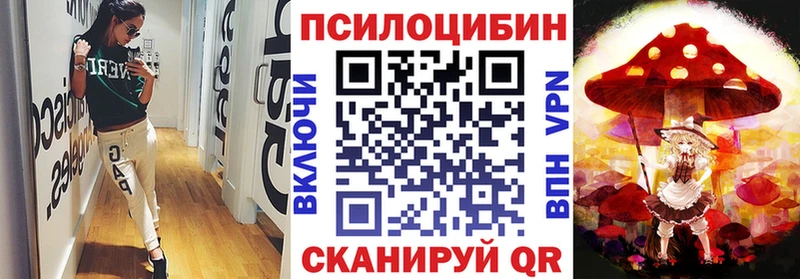 Галлюциногенные грибы мухоморы цена Сольвычегодск